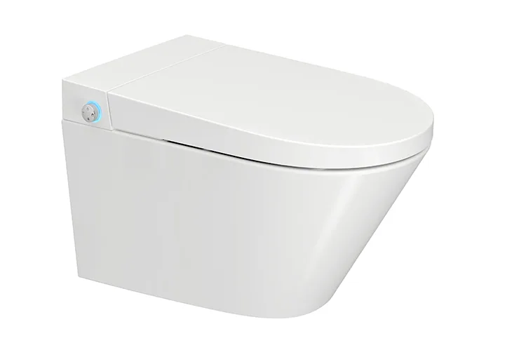 Wall-hung smart toilet 110201