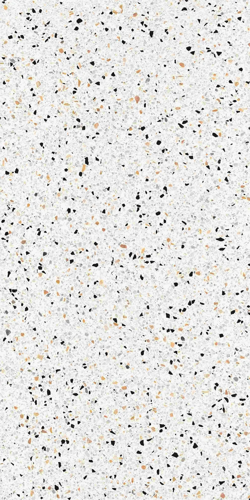 porcelain tile 20020305A