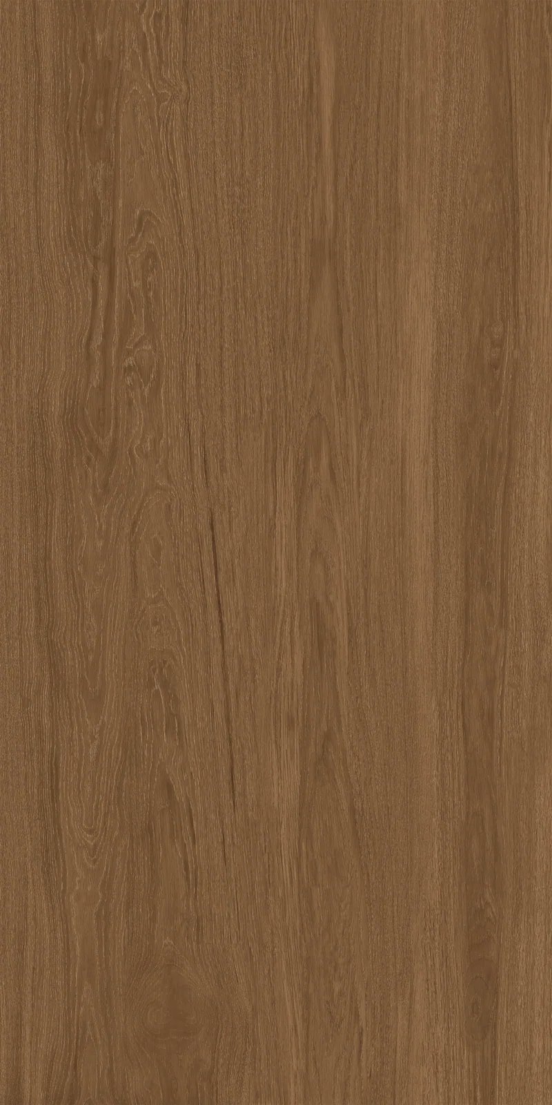 porcelain tile 20020308A